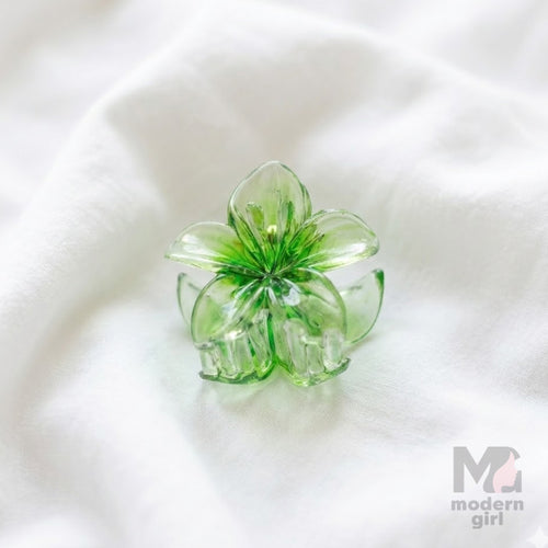 Floral Transparent Hair Claw Clip